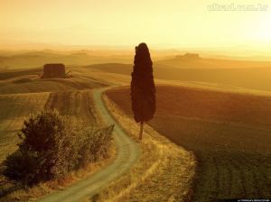Estrada na Toscana, Itália
